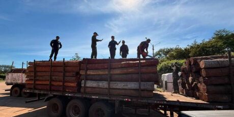 PF rastreia transportadoras ap&oacute;s apreens&atilde;o de at&eacute; 50 toneladas de coca&iacute;na
