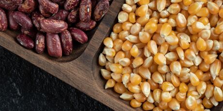 Em clima junino, confira a hist&oacute;ria e veja receitas da canjica, do p&eacute; de moleque e da pamonha