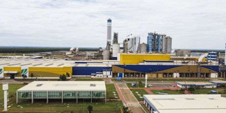 De olho em pre&ccedil;o melhor, gigantes da celulose reduzem exporta&ccedil;&atilde;o