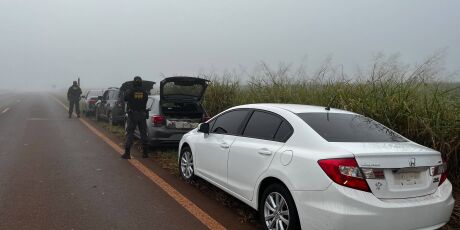 DOF apreende mais de 400kg de drogas transportadas em comboio de carros