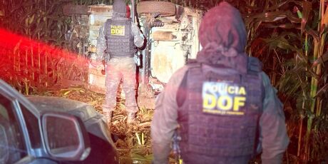 DOF apreende quase 800 kg de droga em milharal ap&oacute;s capotamento