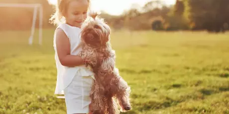 F&eacute;rias escolares: 6 cuidados para evitar estresse em c&atilde;es e gatos durante o per&iacute;odo