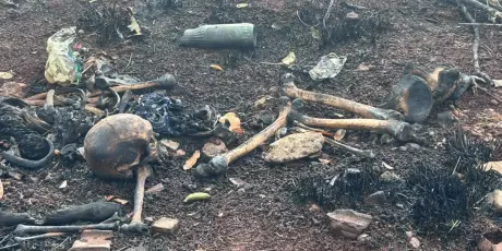 Ossada humana &eacute; encontrada em mata; Pol&iacute;cia apura caso em Campo Grande