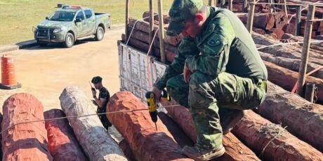 Ap&oacute;s laudo descartar coca&iacute;na, defesa de transportadora pede libera&ccedil;&atilde;o de carretas em MS