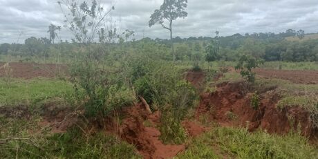 MPMS investiga degrada&ccedil;&atilde;o ambiental em fazenda de Santa Rita do Pardo