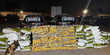 Choque apreende 1,2 tonelada de maconha em Campo Grande