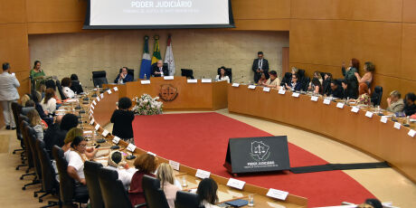 CNJ lan&ccedil;a em MS medidas contra escalada dos feminic&iacute;dios
