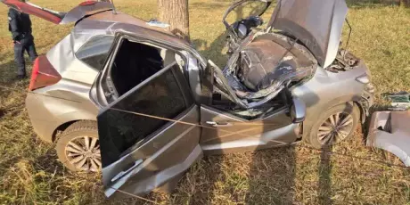 Traficante foge de abordagem da PRF, bate em &aacute;rvore e morre