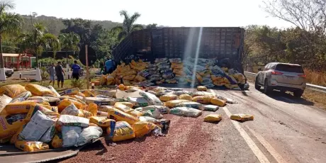 Caminh&atilde;o de ra&ccedil;&atilde;o para c&atilde;es tomba e interdita BR-060