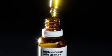 Autoriza&ccedil;&otilde;es para importa&ccedil;&atilde;o de cannabis aumentam 29% em 2026
