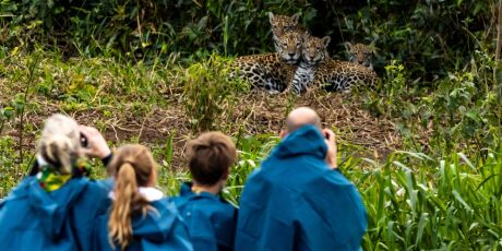 Confira as melhores dicas de passeio para conhecer o Pantanal de Corumb&aacute;