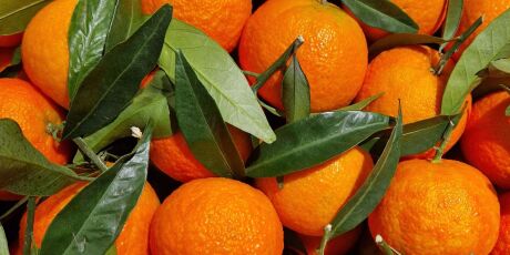 Nutricionista explica benef&iacute;cios do consumo da tangerina e ensina como escolher a fruta