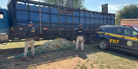PRF apreende quase 200kg de coca&iacute;na em caminh&atilde;o de boi na fronteira com a Bol&iacute;via