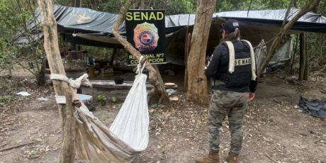 Planta&ccedil;&atilde;o de maconha de 20 hectares &eacute; destru&iacute;da na fronteira 