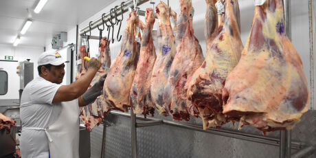 Embargo da UE amea&ccedil;a avan&ccedil;o da carne de MS no mercado europeu