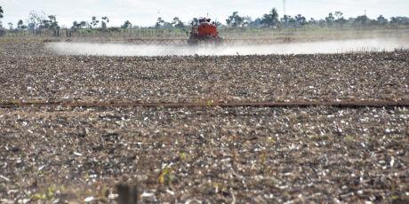 Super-El Ni&ntilde;o pode derrubar safra de soja em MS ap&oacute;s colheita recorde
