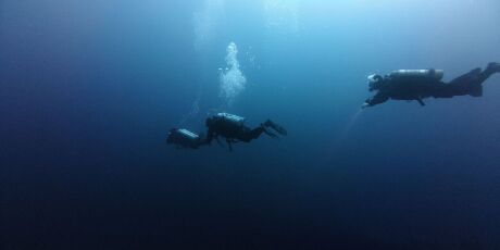 Nas profundezas do oceano, Canad&aacute; encontra criatura azul que parece sa&iacute;da de outro mundo