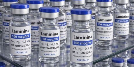 Testes cl&iacute;nicos fase 1 da polilaminina come&ccedil;am este m&ecirc;s