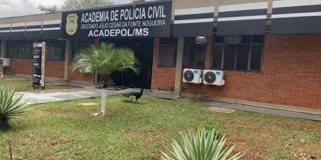 Acadepol vira alvo de MPE por perturba&ccedil;&atilde;o ao sil&ecirc;ncio
