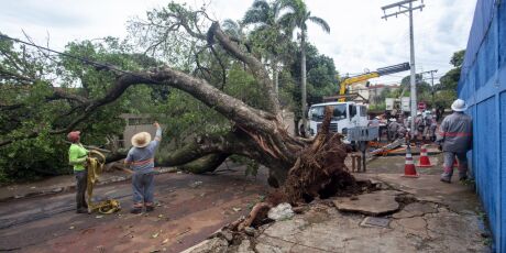Ap&oacute;s temporal, emerg&ecirc;ncia de 180 dias permite obras sem licita&ccedil;&atilde;o em Campo Grande