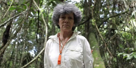 Mulher teria sido criada por macacos em floresta e ficou aterrorizada ao se ver no espelho