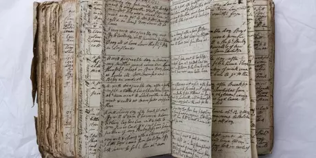 IAs tentam decifrar o Manuscrito Voynich, livro misterioso do s&eacute;culo 15