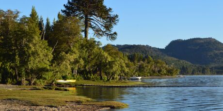 Chile procura volunt&aacute;rios para viver em meio &agrave; floresta com acomoda&ccedil;&atilde;o em troca de 20 horas semanais