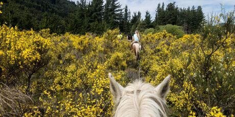 Morar de gra&ccedil;a na Argentina: fazenda busca volunt&aacute;rios para trabalhar 20 horas por semana