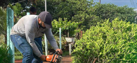 Em defesa de laranjais, deputado sugere for&ccedil;a-tarefa de ca&ccedil;a &agrave;s murtas