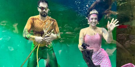 Bioparque ter&aacute; sereia e atividades gratuitas para o Dia das Crian&ccedil;as