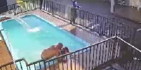 Homem &eacute; morto a tiros dentro de piscina durante festa em Campo Grande
