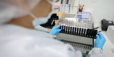 Mal&aacute;ria: Anvisa autoriza teste em humanos de vacina 100% brasileira