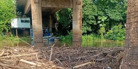 Em cheia antecipada, rio mais piscoso do Pantanal sobe mais 50 cm