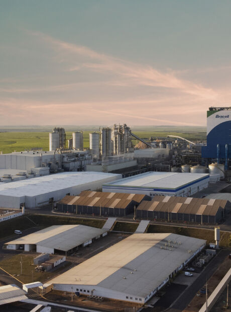 Bracell recebe licen&ccedil;a para constru&ccedil;&atilde;o de megaf&aacute;brica de celulose em MS