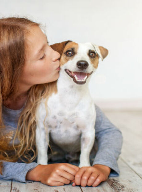 Saiba como proteger c&atilde;es e gatos durante a onda de calor no Brasil