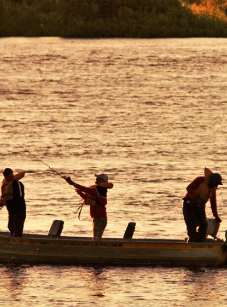 Piracema come&ccedil;a neste domingo e pro&iacute;be pesca nos rios de MS at&eacute; fevereiro