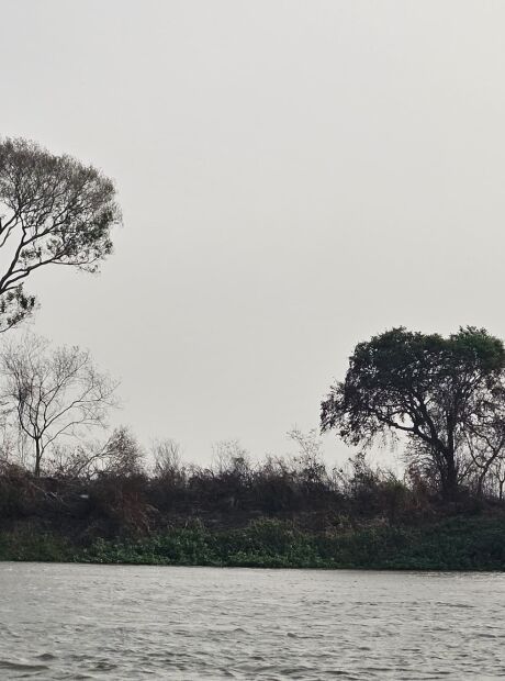 Para ajudar a combater incêndios, MS conta com equipe europeia no Pantanal