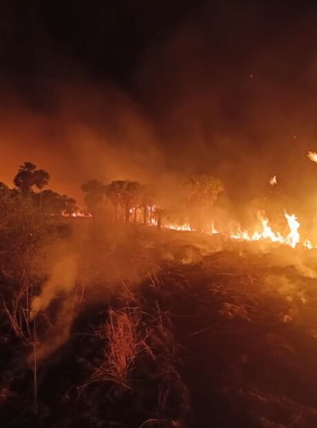 Governo afirma que bases avançadas aceleram combate a incêndios no Pantanal