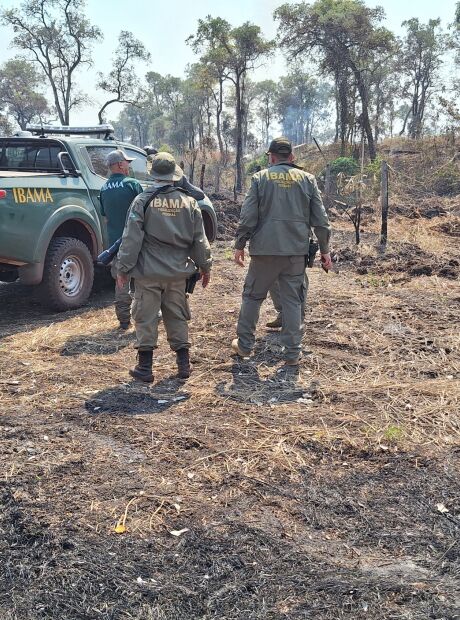 Pantanal tem o maior número de multas ambientais em 4 anos