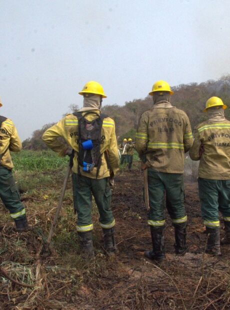 Incêndios podem significar US$ 360 milhões perdidos em carbono