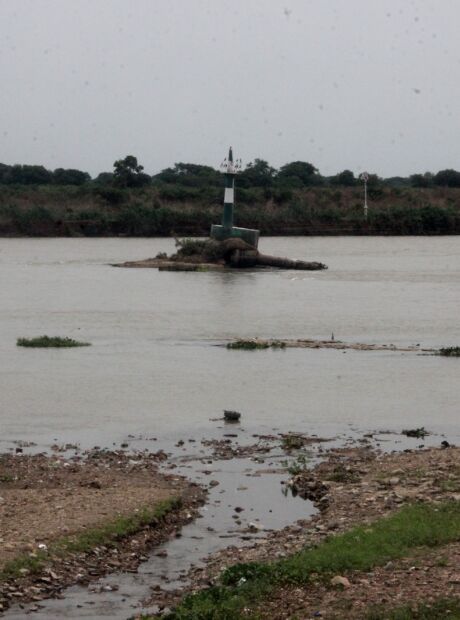 Superfície alagada do Pantanal reduz 61% em menos de 40 anos