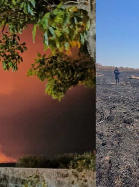 Investigações sobre incêndios apuram esquemas de grilagem de terras no Pantanal