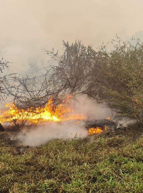 Prevfogo vai manter brigadistas o ano inteiro no Pantanal de MS