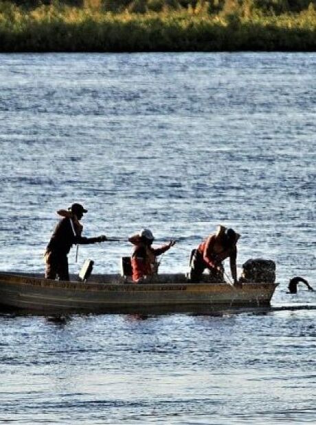 PMA orienta pescadores sobre as regras vigentes no período da Piracema 2024/2025 em MS