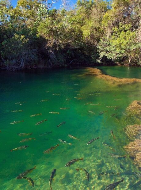 Taxa de R$ 15 por dia em Bonito come&ccedil;a a valer a partir de s&aacute;bado