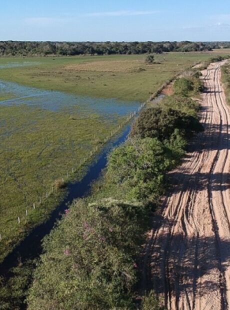 Sem licença ambiental: Obra de rodovia no Pantanal terá nova inspeção do TCE-MS