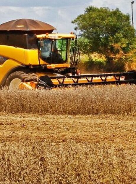 Brasil tem sexto maior crescimento no ranking das economias do G20