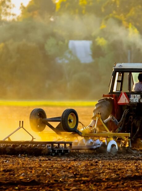 Empresas do agro puxam alta de recupera&ccedil;&otilde;es judiciais 