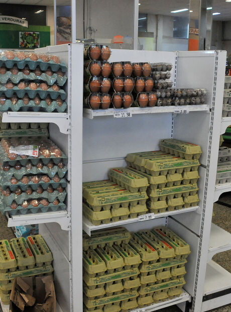 Exporta&ccedil;&otilde;es de ovos batem recorde de volume e receita em 2025, diz ABPA