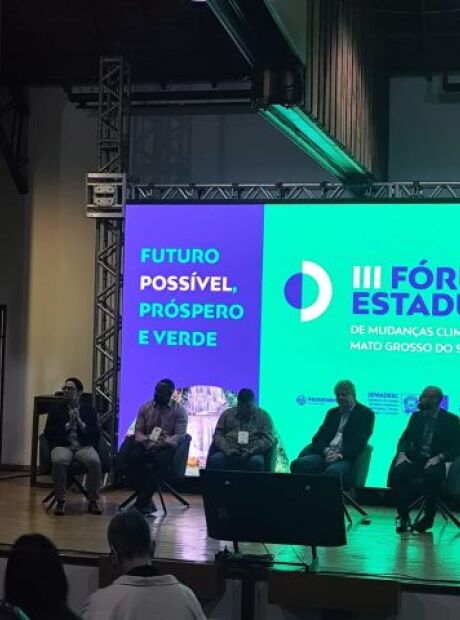 MS cria ferramenta para vender crédito de carbono 